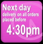 next day delivery