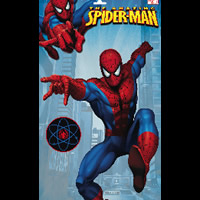 3D Spider Man Run