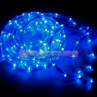 LED Rope Lights