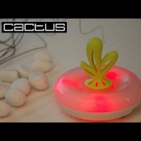 Illuminated Cactus Oil Difuser