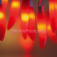 Chilli String Lights