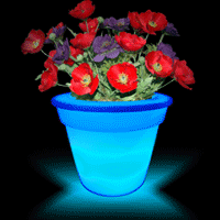Flashing Flower Pot