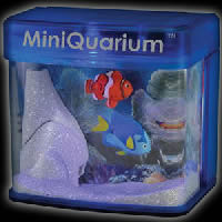 Funky Fish Miniquarium