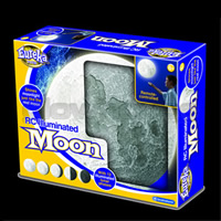 Moon In My Room