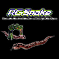 RC Snake
