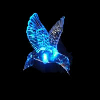 Solar Humming Bird