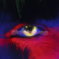 Bat Symbol UV Contact Lenses