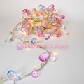 Bohemia String Lights