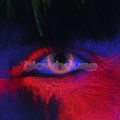 Bulls Eye UV Contact Lenses