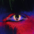 Red Dragon UV Contact Lenses