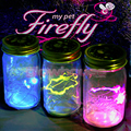 My Pet Firefly Jar