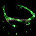 Flashing Green Sunglasses