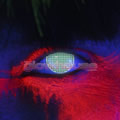 Green Screen UV Contact Lenses