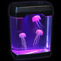 Jellyfish Mood Tank