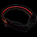 Light Up Dog Collar