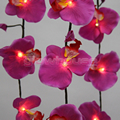 Purple Orchid String Lights