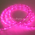 Pink LED Rope Light