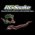 RC Snake