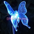 Solar Butterfly