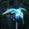 Solar Humming Bird