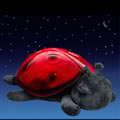 Twilight Ladybug