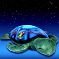 Twilight Sea Turtle
